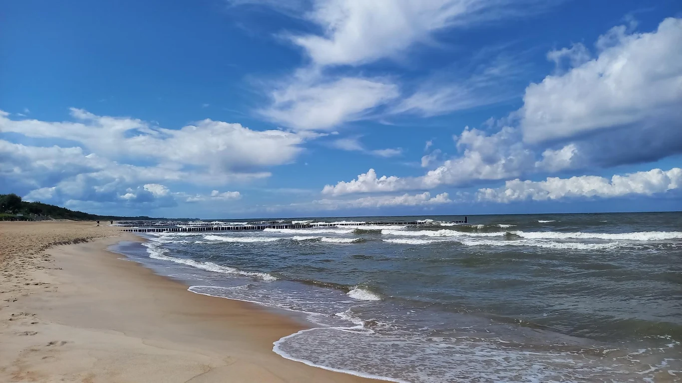 Młodzi i Film 2024 - plaża w Mielnie