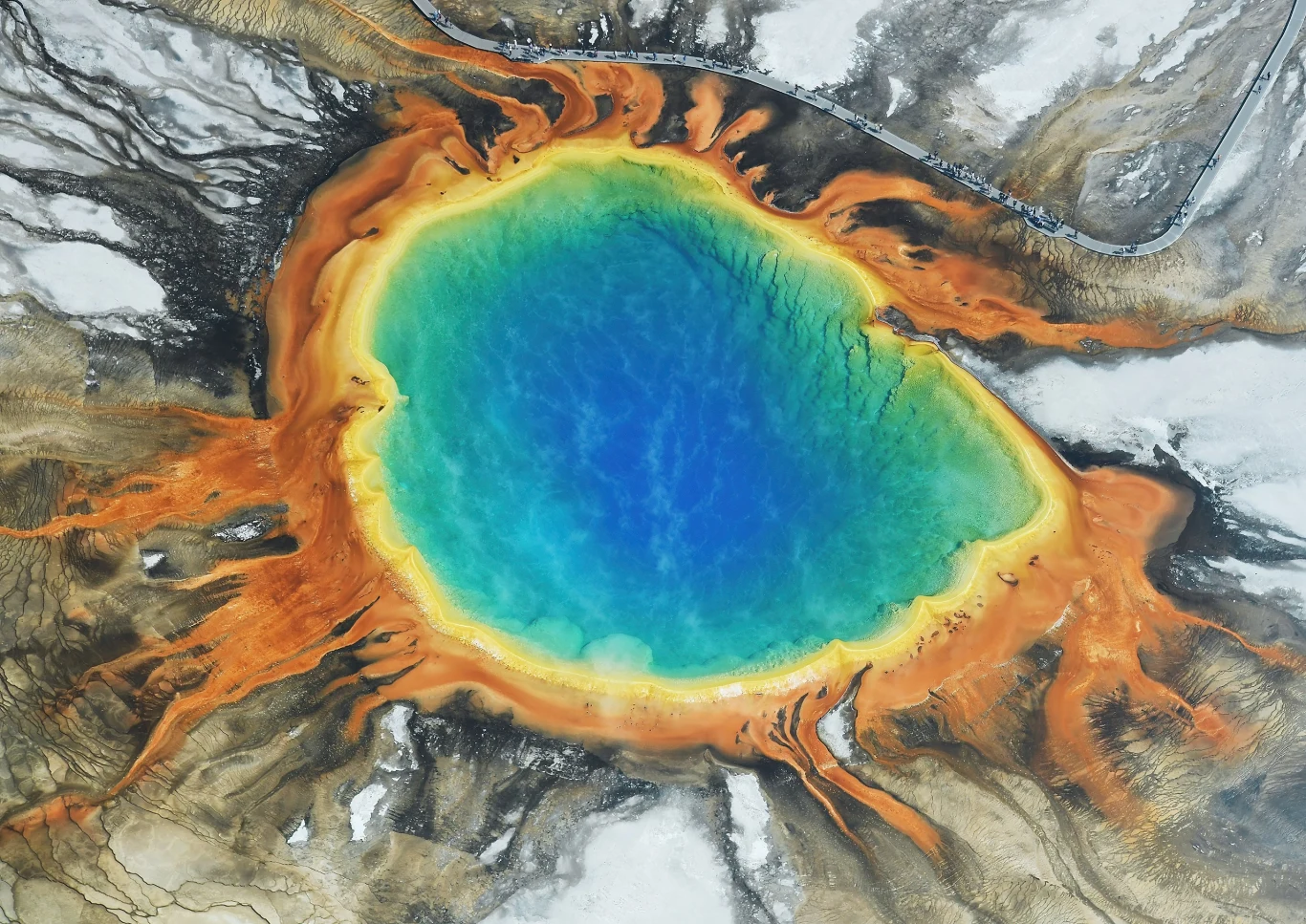 Archeony odkryto m.in. w wulkanicznych gorących źródłach, takich jak Grand Prismatic Spring w parku Yellowstone Archeony odkryto m.in. w wulkanicznych gorących źródłach, takich jak Grand Prismatic Spring w parku Yellowstone