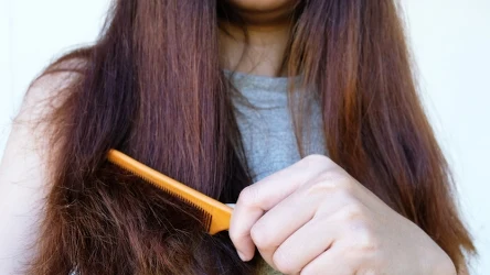 Suche włosy są łamliwe i trudne do rozczesania