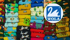 Firma Wola Sp. z o.o. została postawiona w stan upadłości (zdj. ilustracyjne)