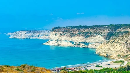 Cypr nazywany jest "Wyspą Kotów" z uwagi na dużą liczbę tych zwierząt. Stały się wielką atrakcją tego miejsca