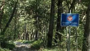Granica polsko-rosyjska. Incydent z udziałem brytyjskich turystów 