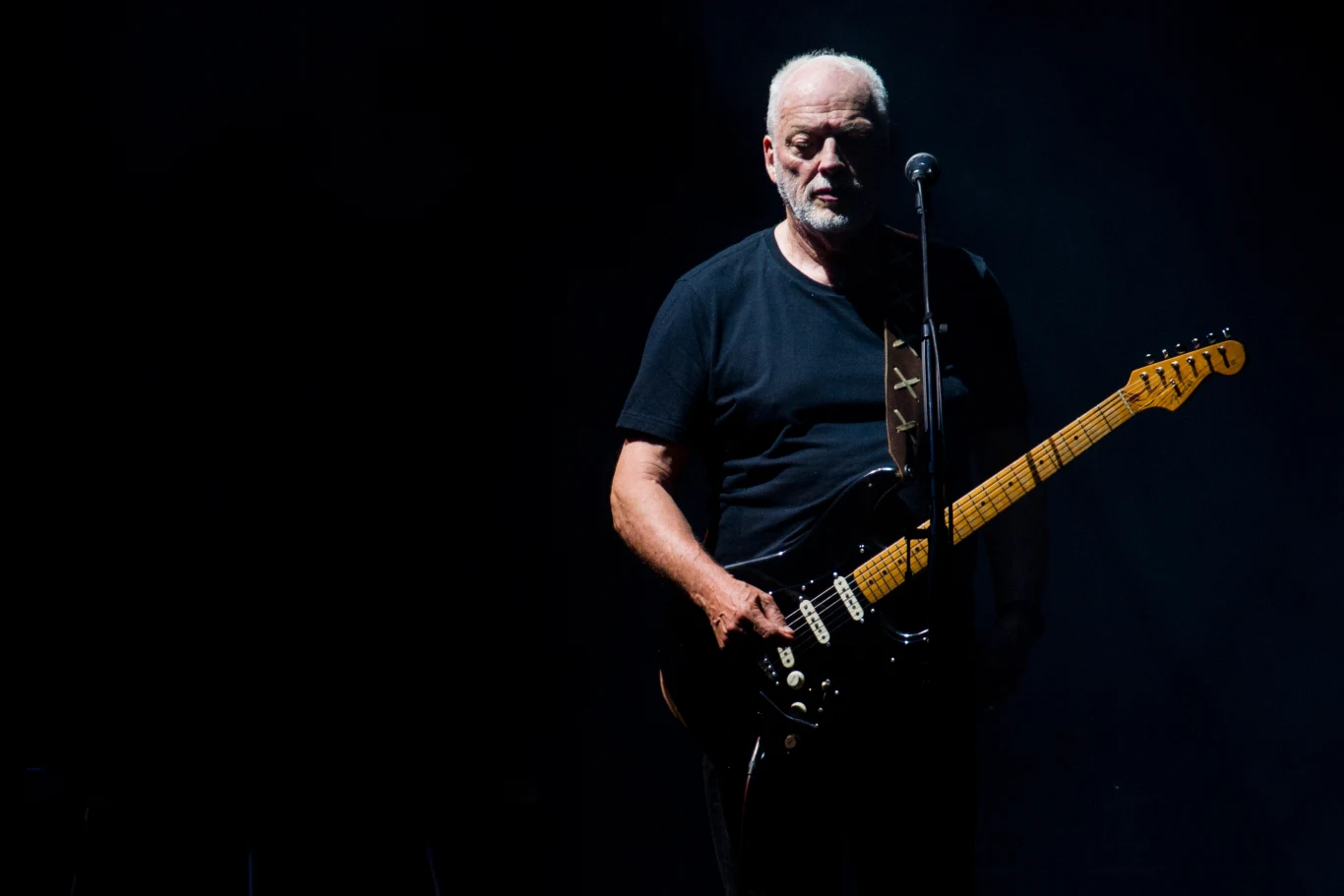 David Gilmour David Gilmour