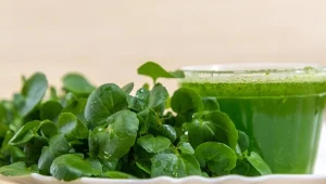 Mówią, że to najzdrowsze warzywo na świecie, a Polacy nie jedzą. Kupisz za grosze