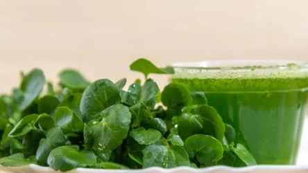 Rukiew wodna to najzdrowsze warzywo na świecie