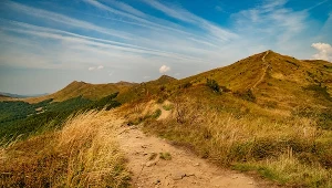 Ten szczyt w polskich Bieszczadach to najlepszy punkt widokowy. Zobaczysz stąd góry z pięciu krajów
