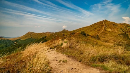 Tarnica to góra wznosząca się na wysokość 1346 m n.p.m