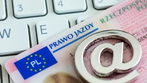 Sprawdziłem, czy można łatwo kupić prawo jazdy w internecie