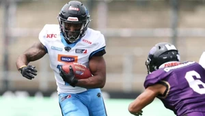 Panthers Wrocław