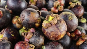 Mangostan uchodzi za najsmaczniejszy egzotyczny owoc. A czy najzdrowszy? Wymieniamy jego właściwości