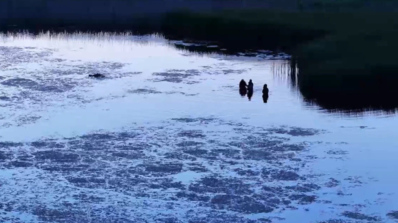 Migranci ukryli się w stawie Migranci ukryli się w stawie