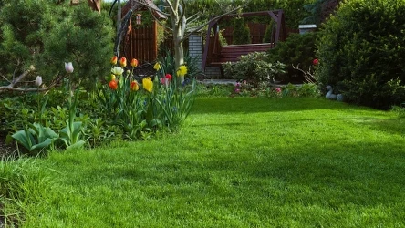 Czym podlać trawnik w kwietniu? Wypróbuj ten domowy sposób