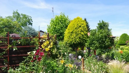 Najpiękniejsza Działka Roku 2025 to konkurs organizowany dla posiadaczy działek, w którym można wygrać nawet 4 tys. zł. 