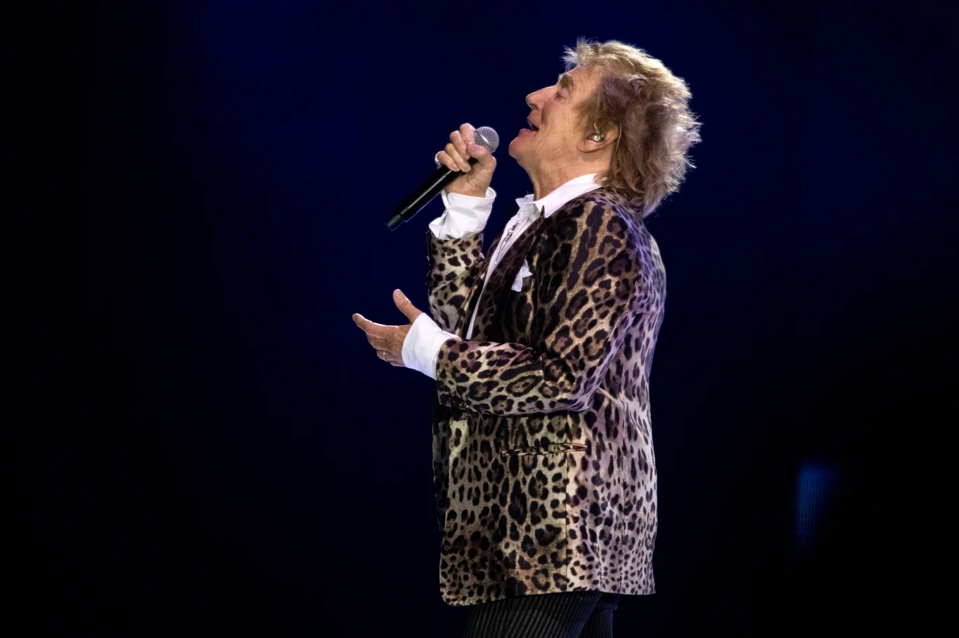 Rod Stewart na koncercie w Łodzi
