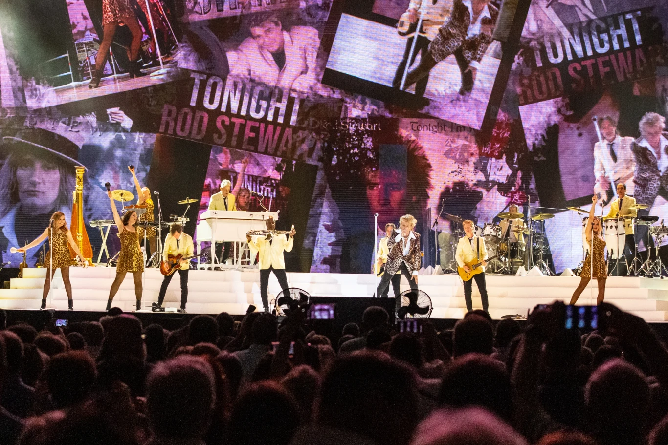 Rod Stewart na koncercie w Łodzi