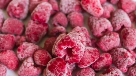 Odpowiednio zamrożone maliny nie będą posklejane