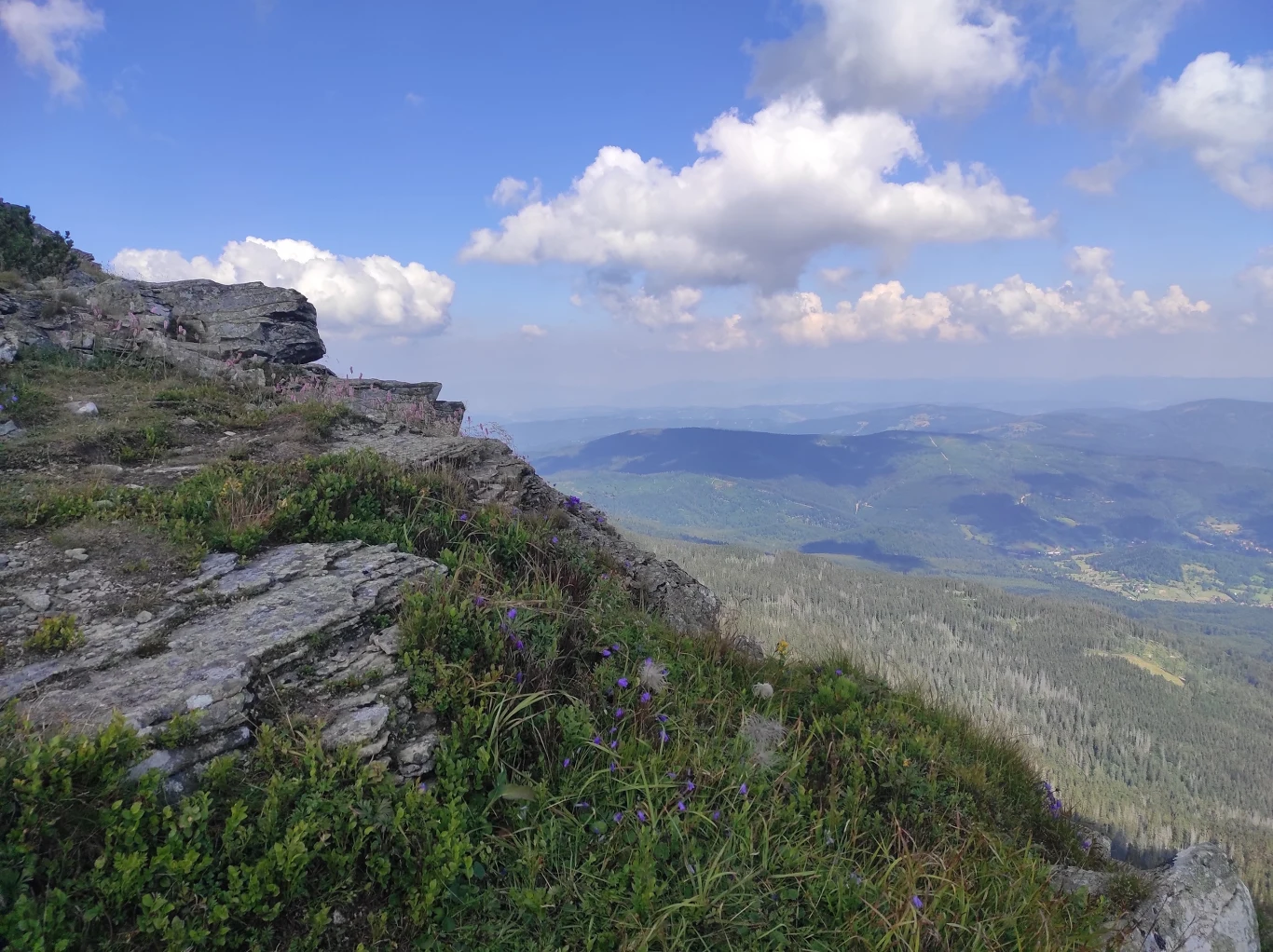 Babia Góra słynie z bujnej roślinności/ materiały własne