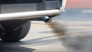 Strefy czystego transportu będą powstawać nie tylko w największych polskich miastach - zakłada projekt MKiŚ