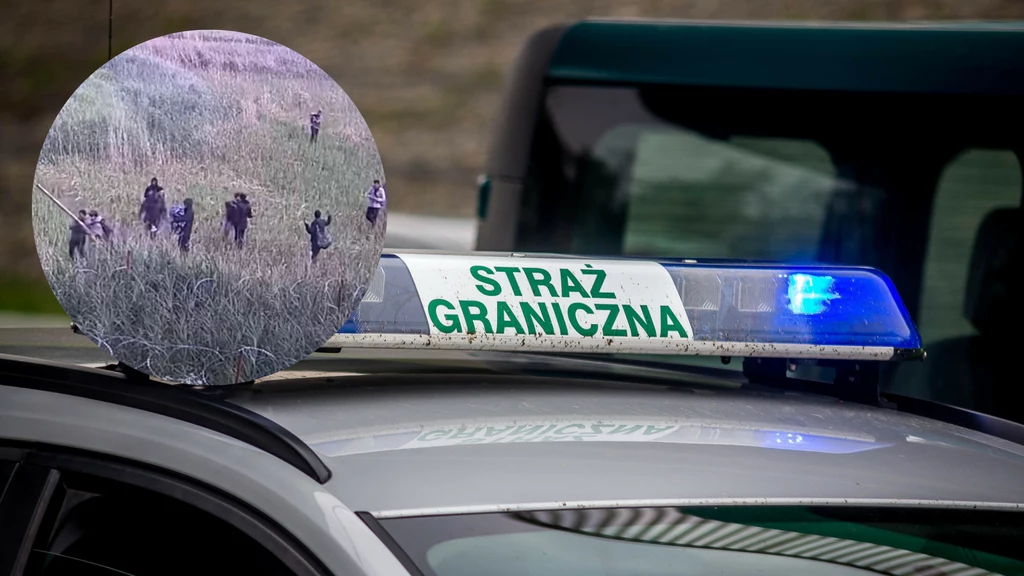 Migranci byli agresywni Migranci byli agresywni