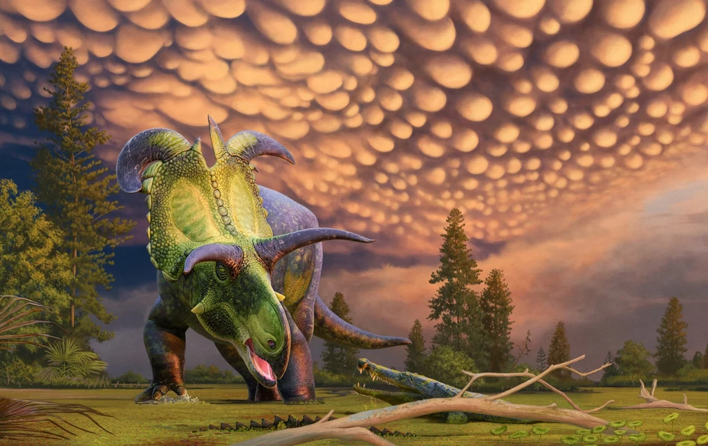Lokiceratops to nowy gatunek dinozaura rogatego