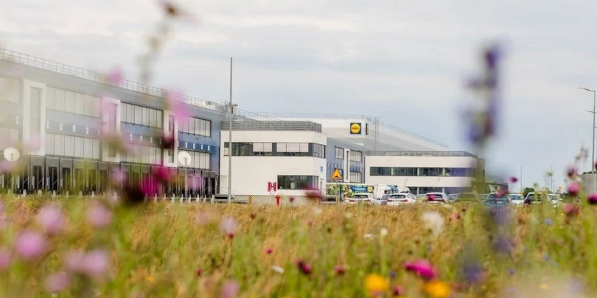 Lidl zasadza łąki kwietne. Robi to w szczytnym celu Lidl zasadza łąki kwietne. Robi to w szczytnym celu