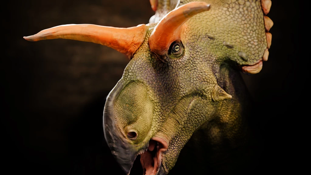Lokiceratops miał rogi niczym słynny nordycki bóg Loki
