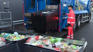 Problemy Polaków ze śmieciami. Jak segregować odpady?