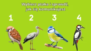 Psychotest: Jaki jest twój styl komunikacji? Wybierz ptaka i sprawdź to