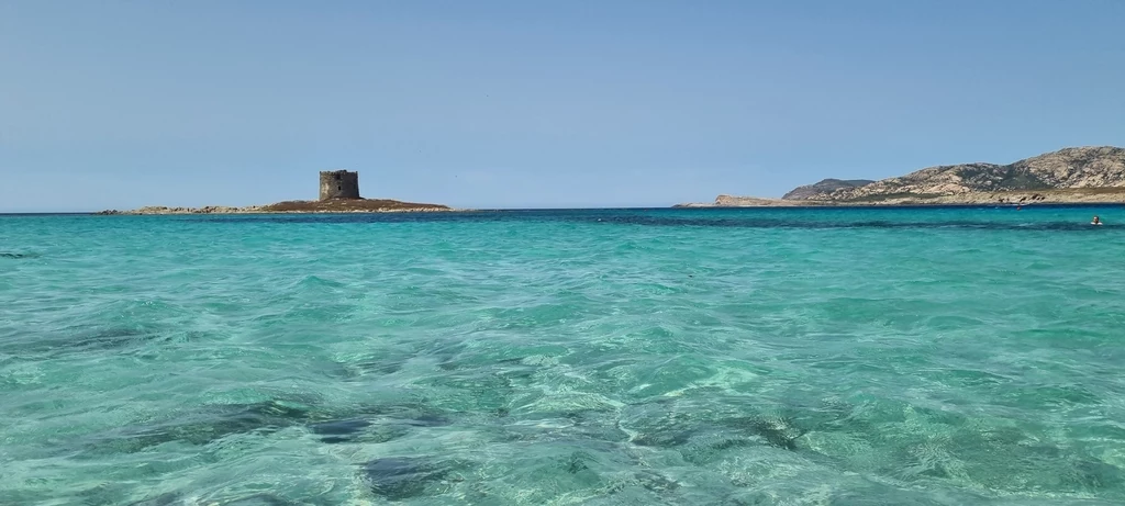 Plaża La Pelosa na Sardynii. Błękitna woda, biały piasek i widok na wieżę Torre della Pelosa.