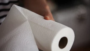 Segreguj odpady poprawnie i sprawdź, co zrobić ze zużytym ręcznikiem papierowym