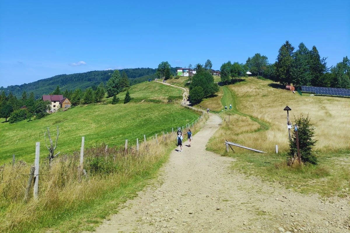 Trasa do schroniska na Hali Boraczej w Beskidzie Żywieckim Trasa do schroniska na Hali Boraczej w Beskidzie Żywieckim