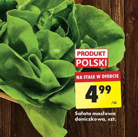 Sałata masłowa Polski