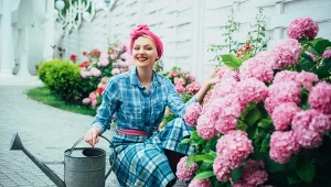 To najlepsza godzina na podlewanie hortensji. Rośliny będą w doskonałej kondycji