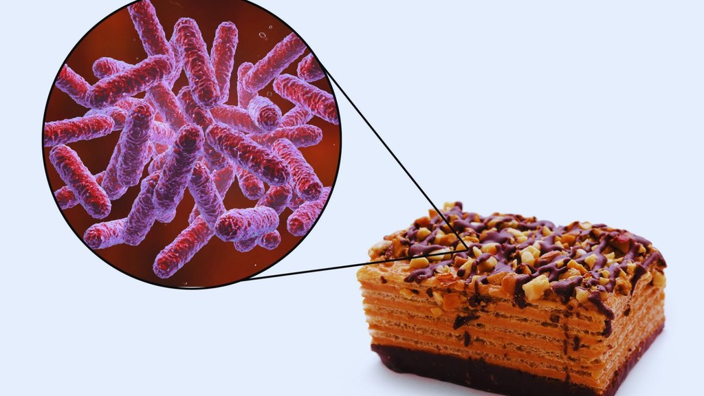 Czynnikami wywołującymi zakażenia przenoszone przez żywność jest wiele bakterii, w tym Staphylococcus aureus, Escherichia coli, Shigella. i Salmonella