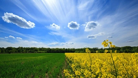 Pogoda na wakacje zapowiada się bardzo ciekawie. Początek lipca może być stosunkowo chłodny, jednak kolejne tygodnie będą cieplejsze niż zwykle, zwłaszcza na południu kraju