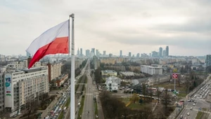 Polska jest rezerwatem małych firm. 