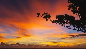 Nadciąga noc tropików. To początek serii