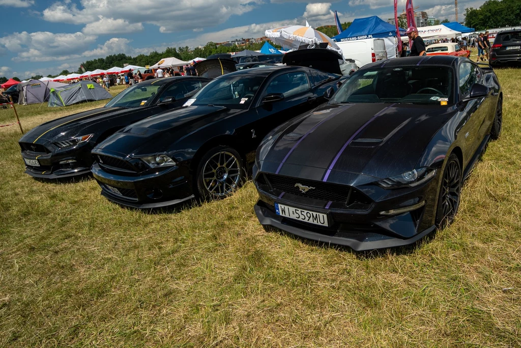 American Cars Mania odbyła się już po raz jedenasty.