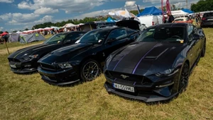 American Cars Mania 2024 to było show w amerykańskim stylu. Pobito rekord