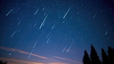 Kiedy obserwować Czerwcowe Bootydy?