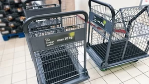 Sieć Auchan wprowadziła testowo w trzech sklepach specjalne wózki na zakupy do wożenia w nich psów o wadze do 10 lub 25 kg