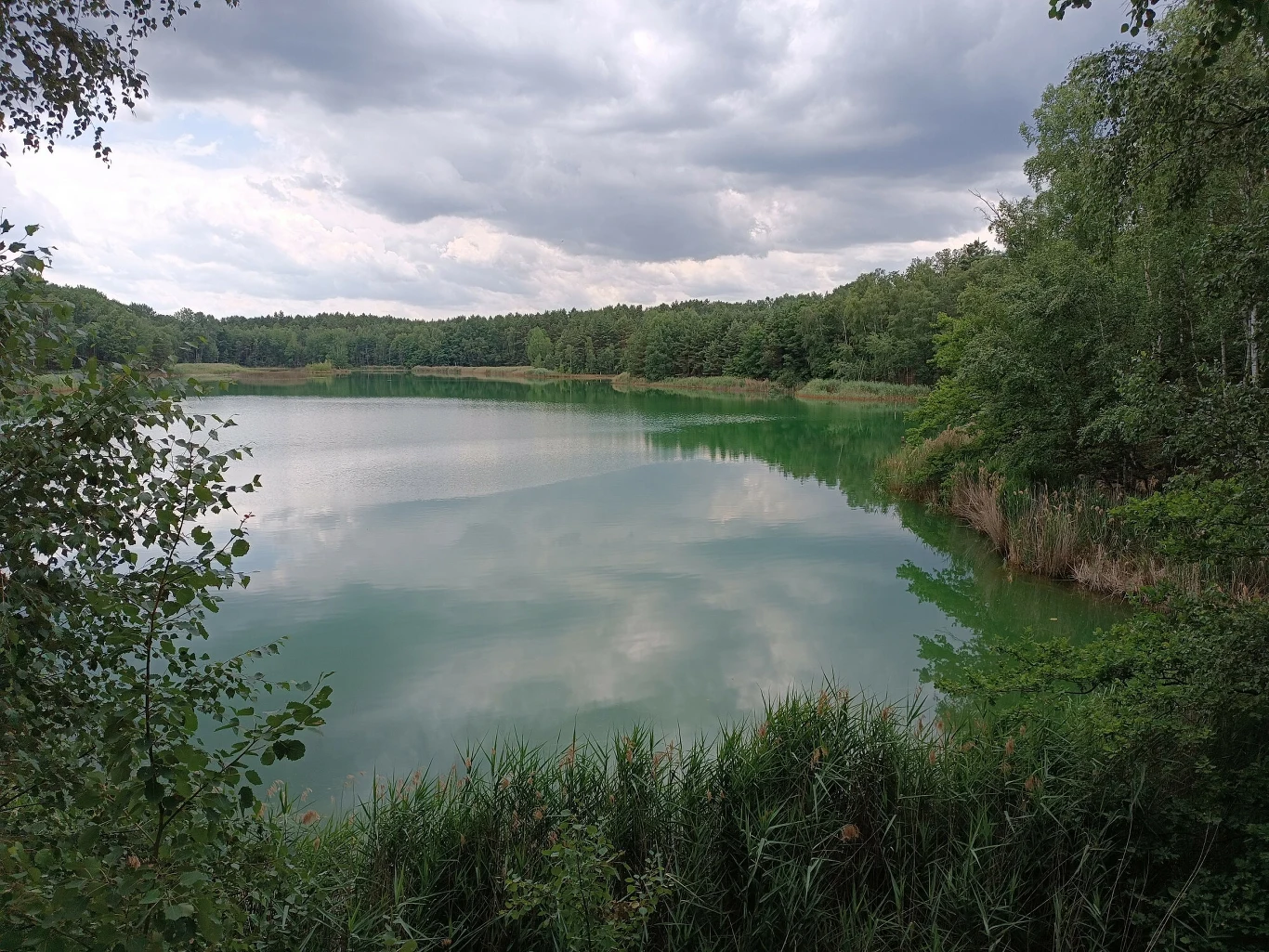 Jeziorko pokopalniane, Park Krajobrazowy Łuk Mużakowa Jeziorko pokopalniane, Park Krajobrazowy Łuk Mużakowa