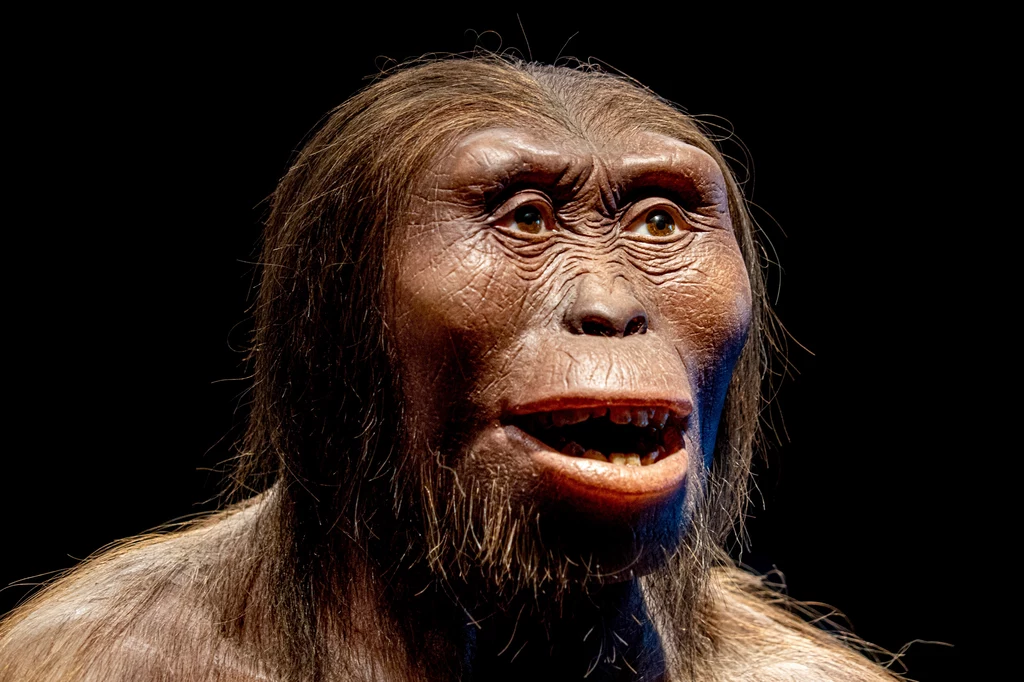 Neandertalczyk