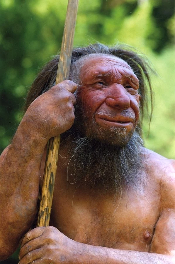 Neandertalczyk i jego wydatne nos i łuki brwiowe