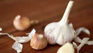 Czosnek nie tylko działa jak antybiotyk, ale reguluje także poziom cukru we krwi i obniża cholesterol 