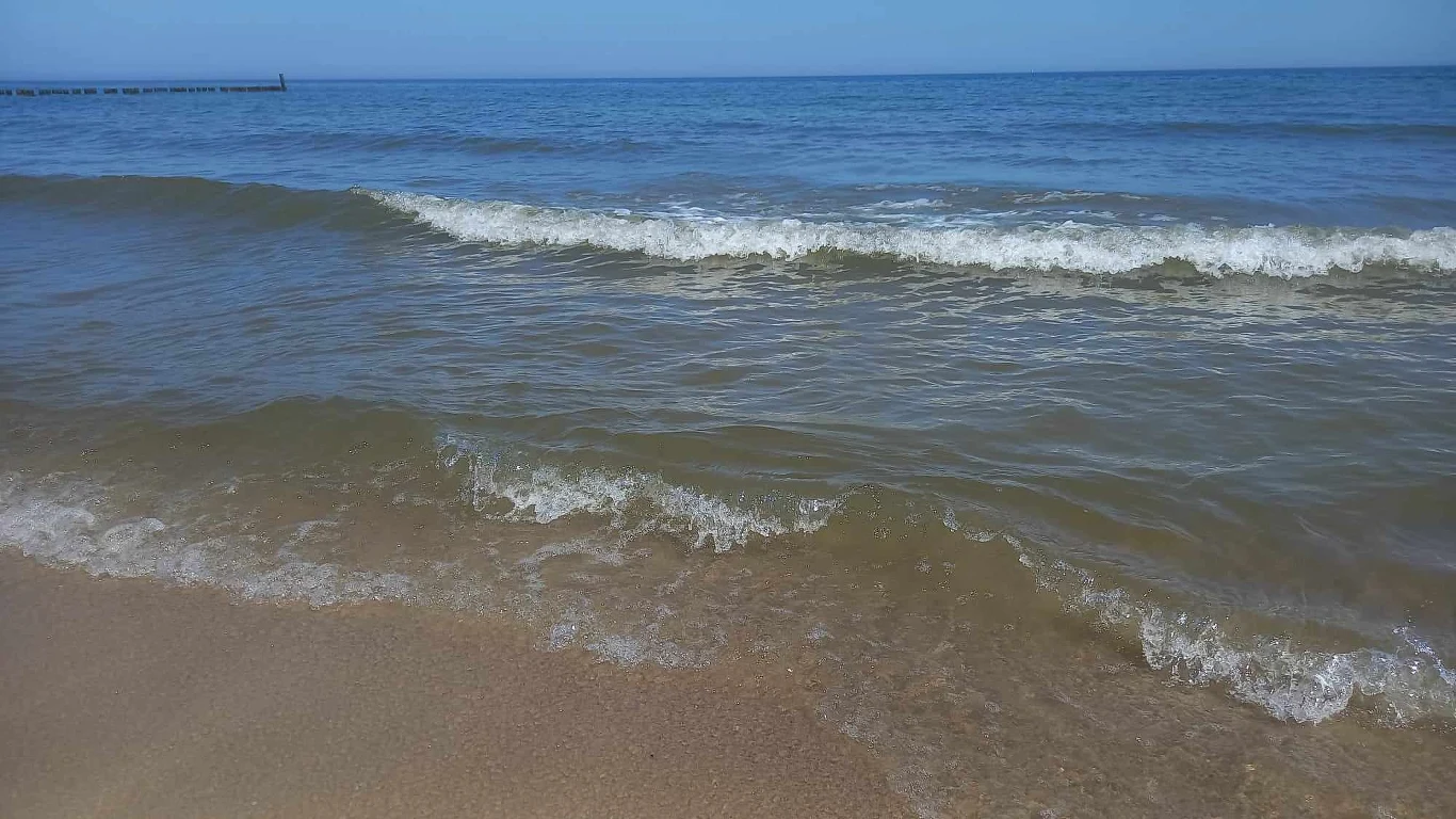 Sinic nie ma aktualnie m.in. w kąpielisku Gdynia Babie Doły