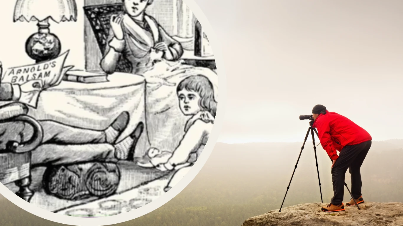 ​Ile kotów widzisz na obrazku? Tylko naprawdę spostrzegawczy podają dobrą odpowiedź