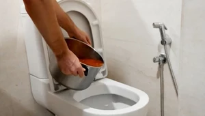 Czy można wylewać zupę do toalety? Narażasz się na duże koszty