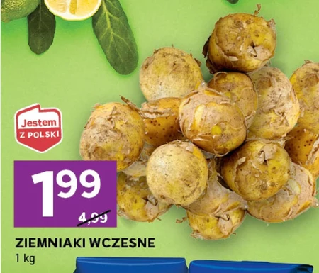 Картопля Polski