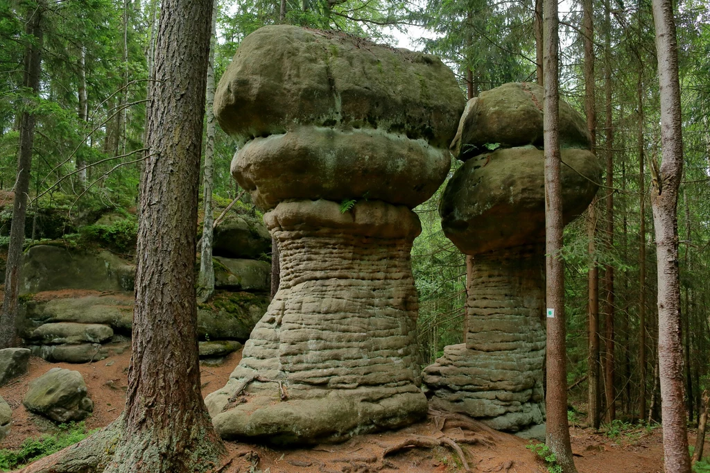 Skalne grzyby to wyjątkowa okazja do poznania geologii Polski